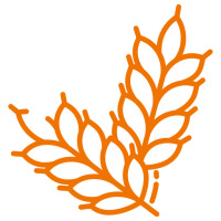 blé