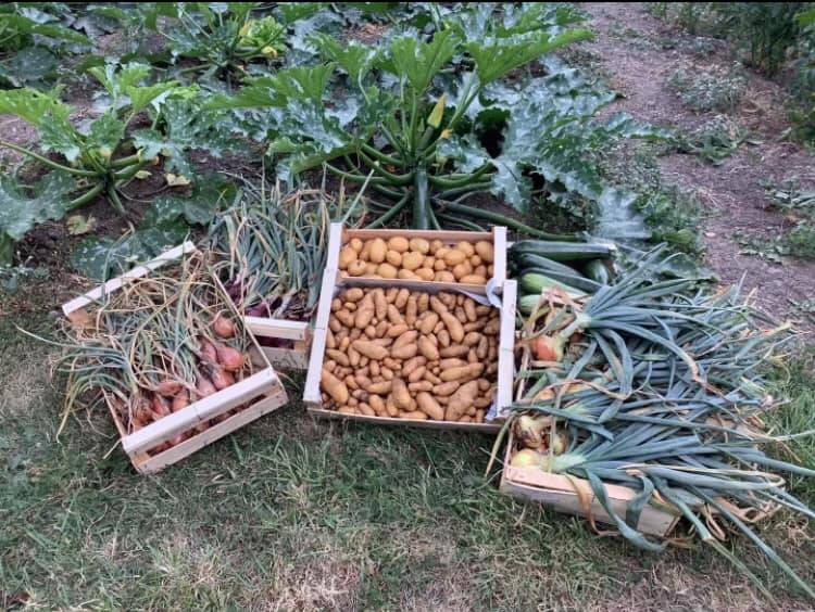 lègumes