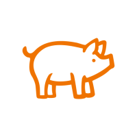 cochon
